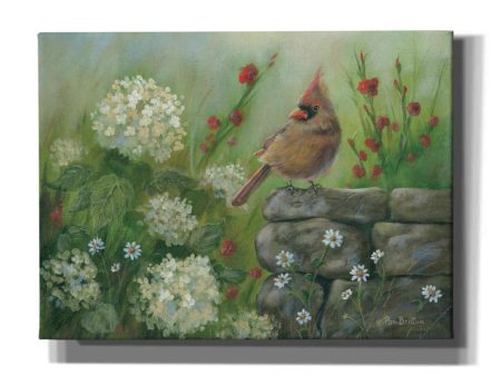 Cardinal & Hydrangeas  by Pam Britton, Canvas Wall Art on Sale