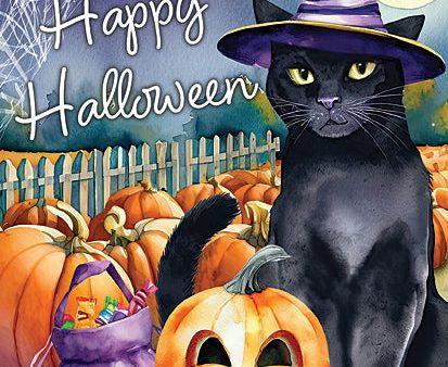 ND216 - Happy Halloween Witch Cat - 12x16 Online Hot Sale