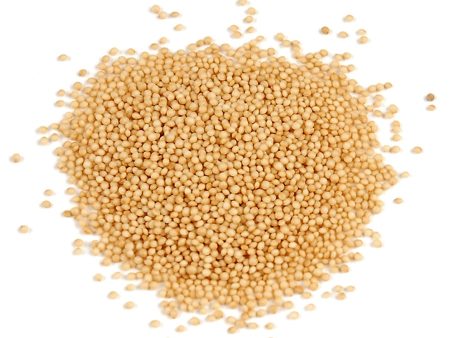 Amaranth, Bulk (Organic) Online Hot Sale